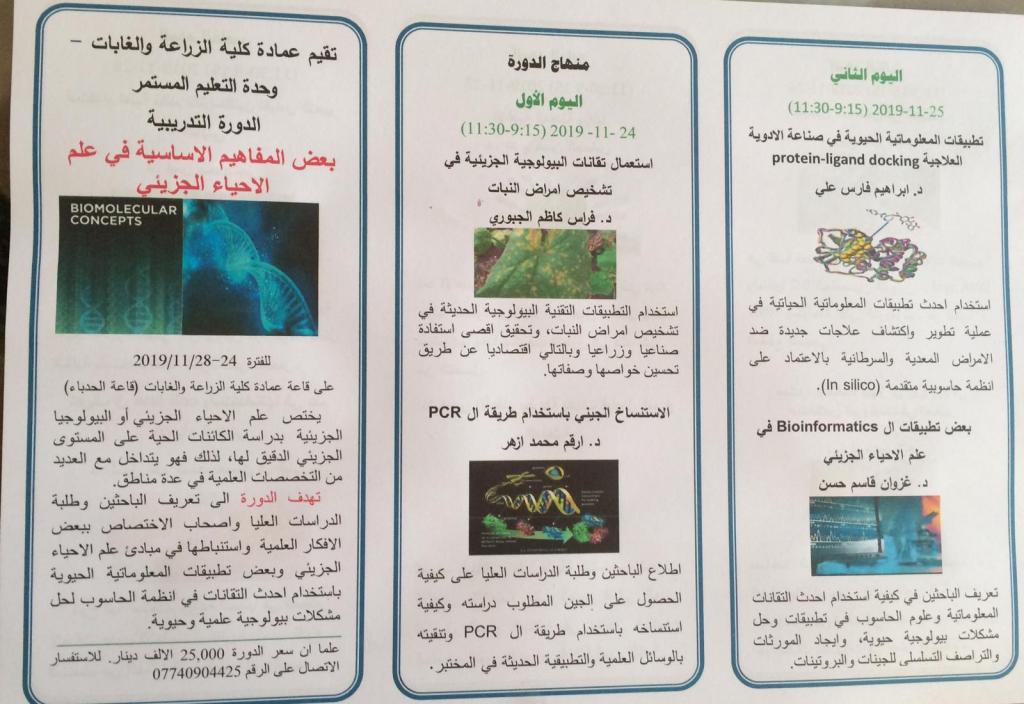 _20191120_042828_570