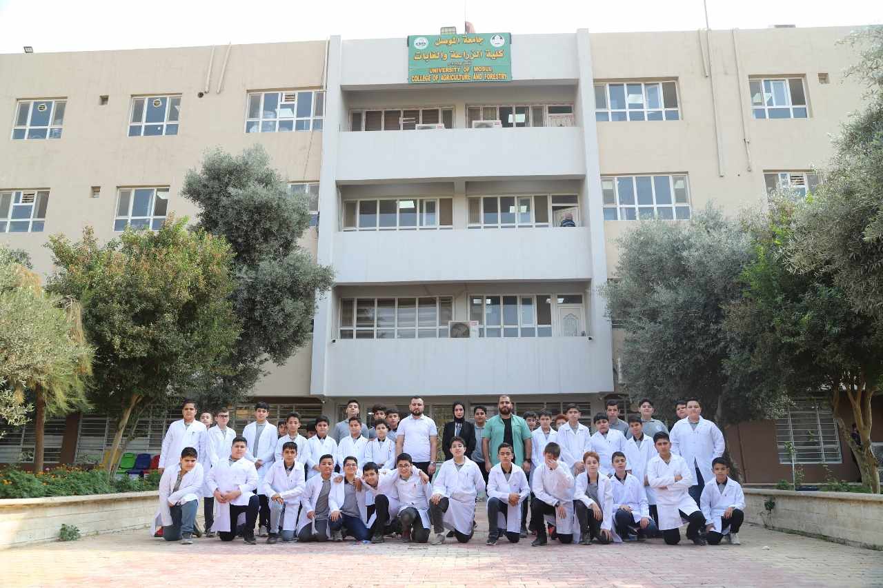 viber_image_2023-11-03_10-39-13-451