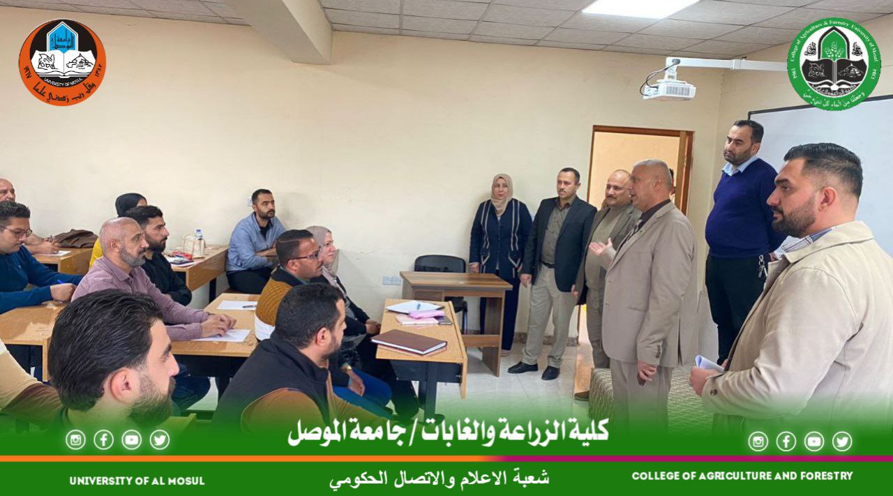 viber_image_2024-11-13_07-58-30-906