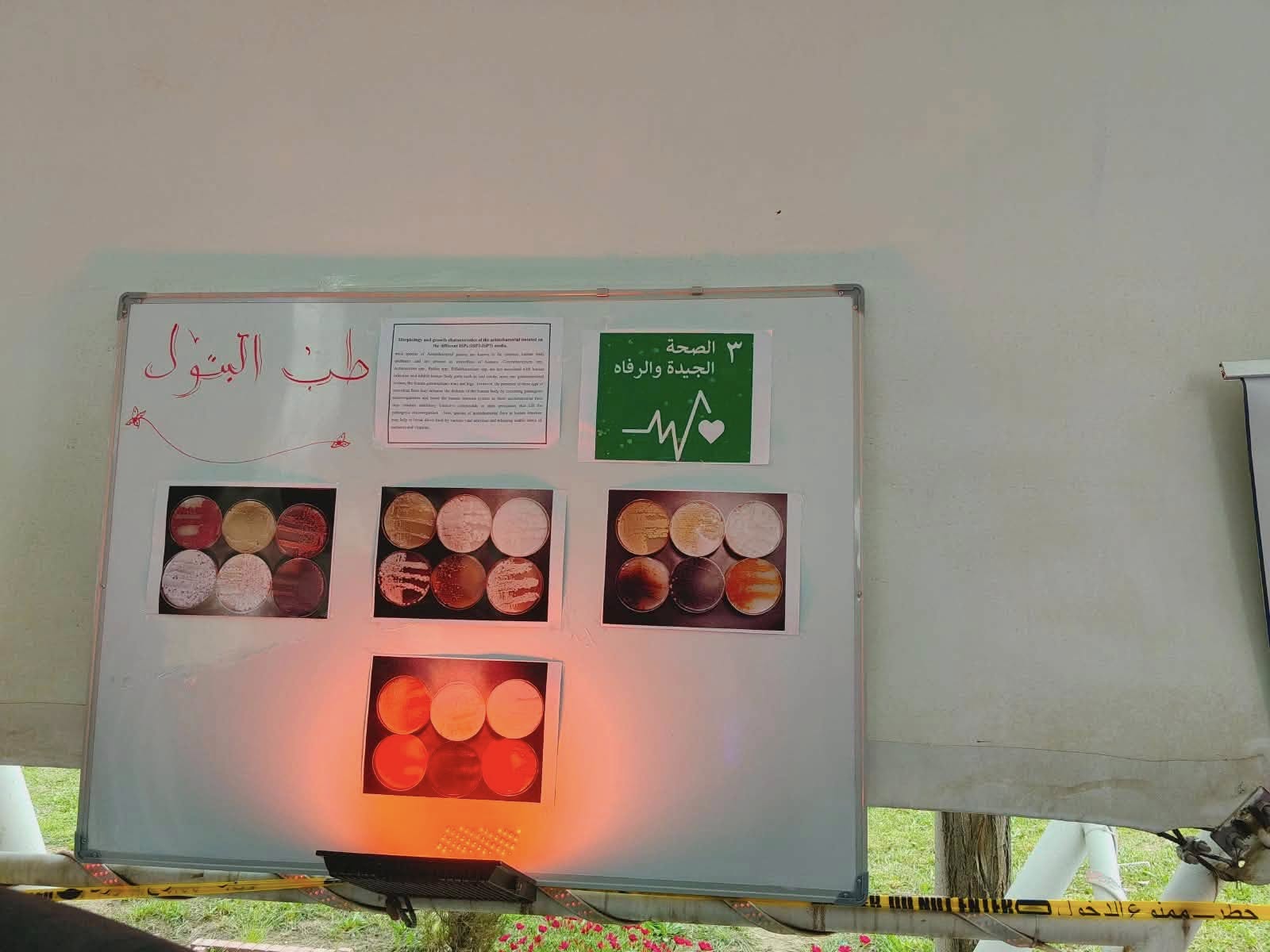 التنمية المستدامة 6