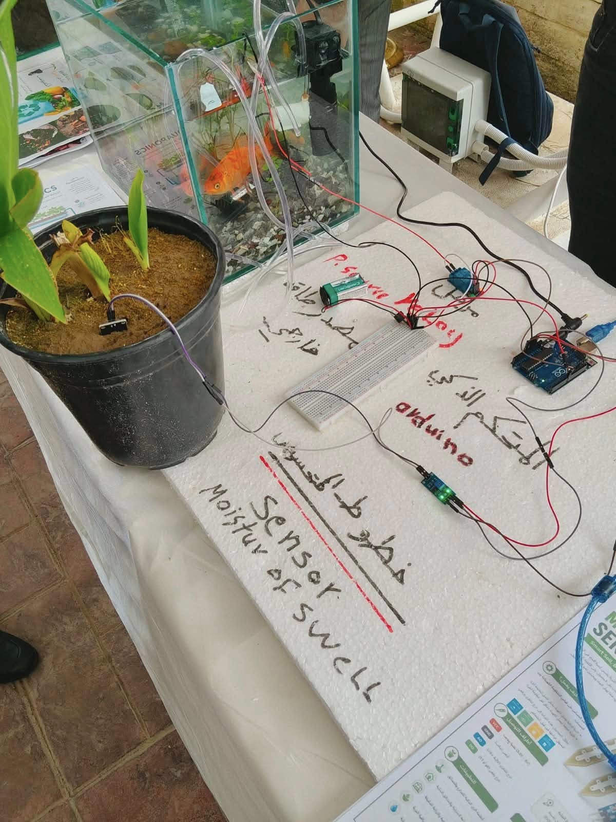التنمية المستدامة 7