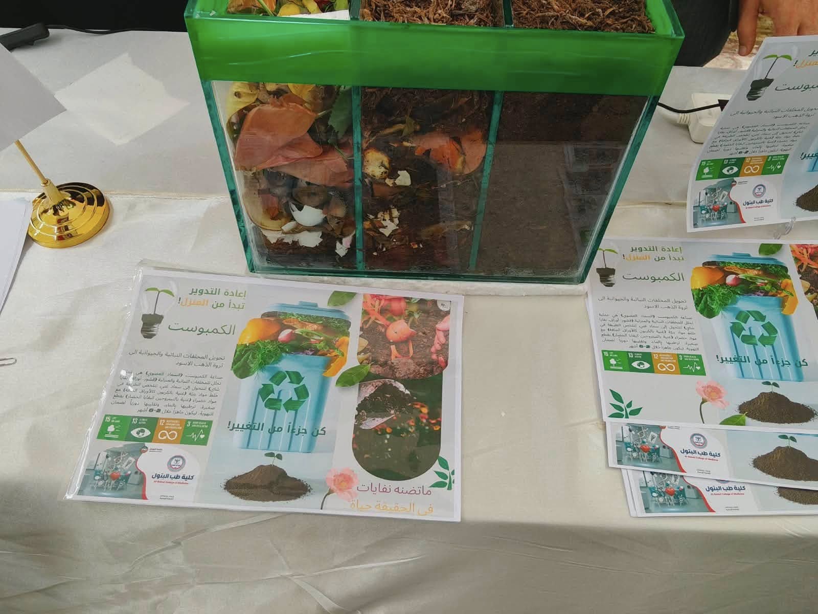 التنمية المستدامة 8