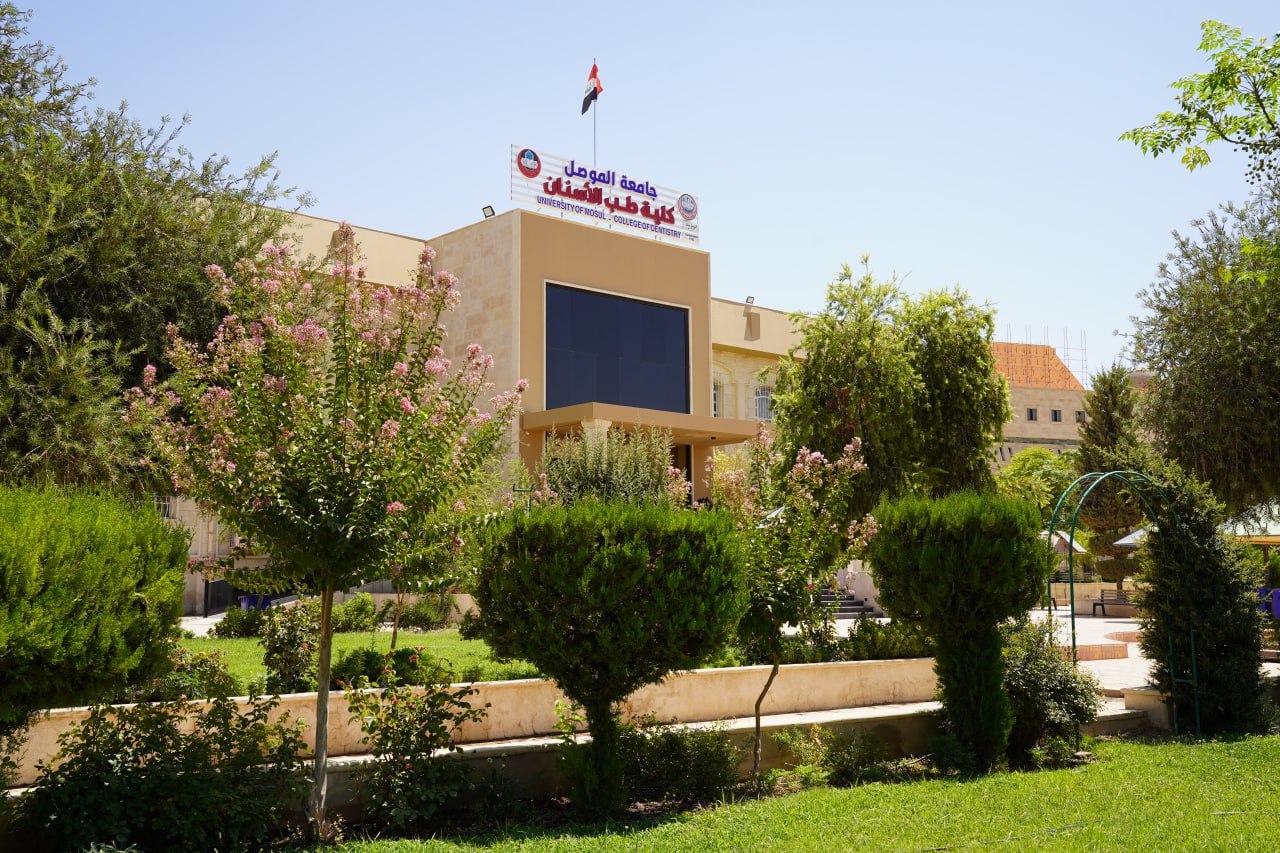 photo_3_2025-08-06_13-11-14