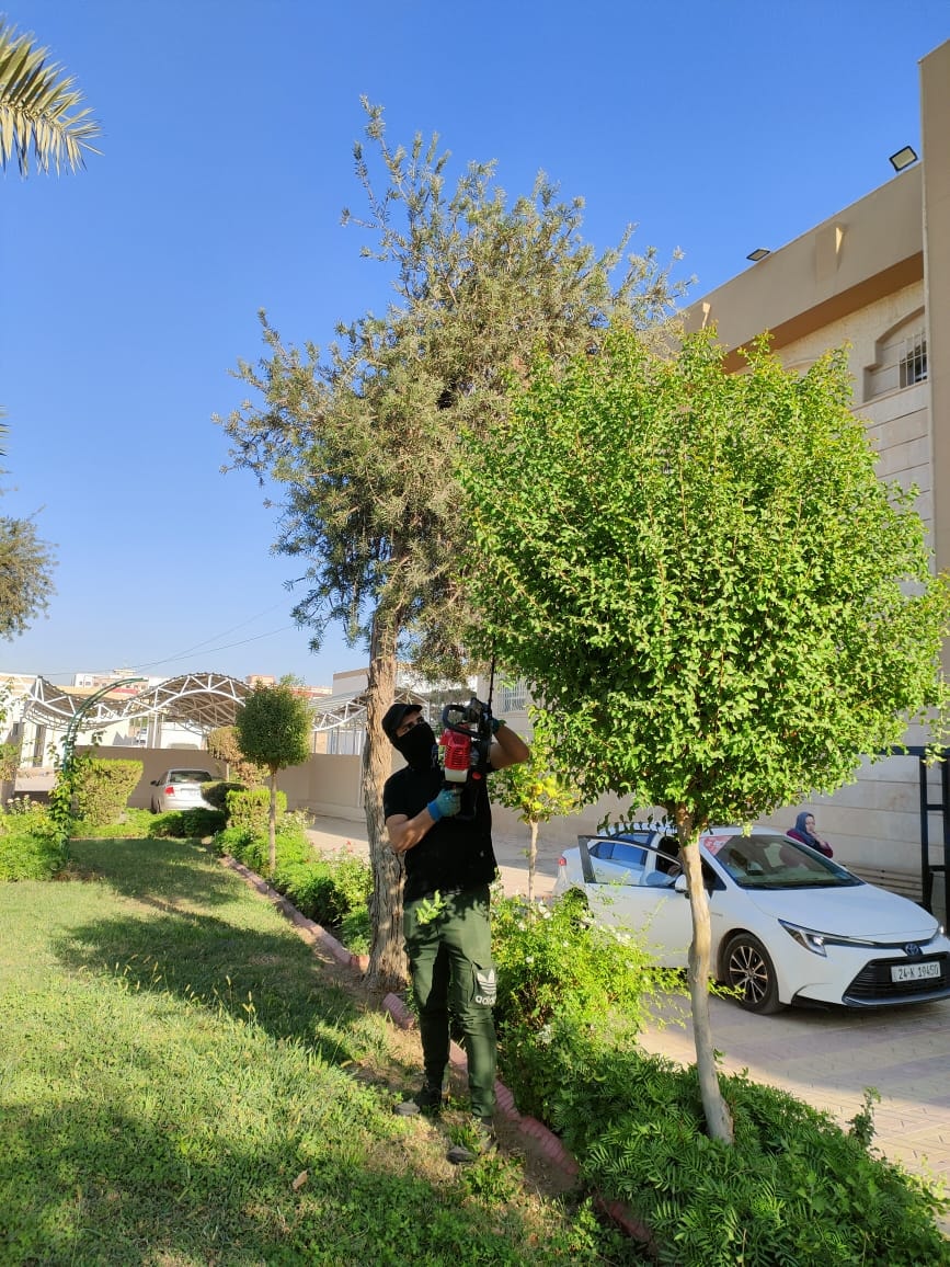 565174059_1116319740693834_2401079922124433602_n