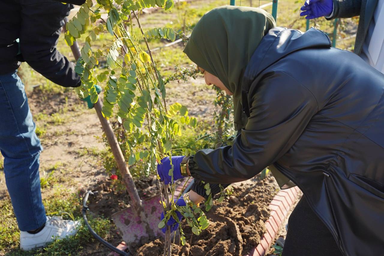 602399294_1169149748744166_188881428762002921_n