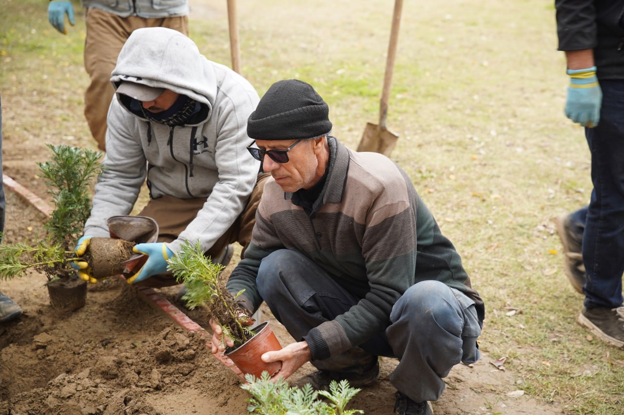 photo_2025-12-16_12-59-47