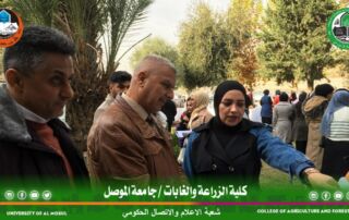 viber_image_2024-12-12_16-01-03-021