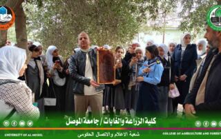 viber_image_2024-12-13_08-09-57-114