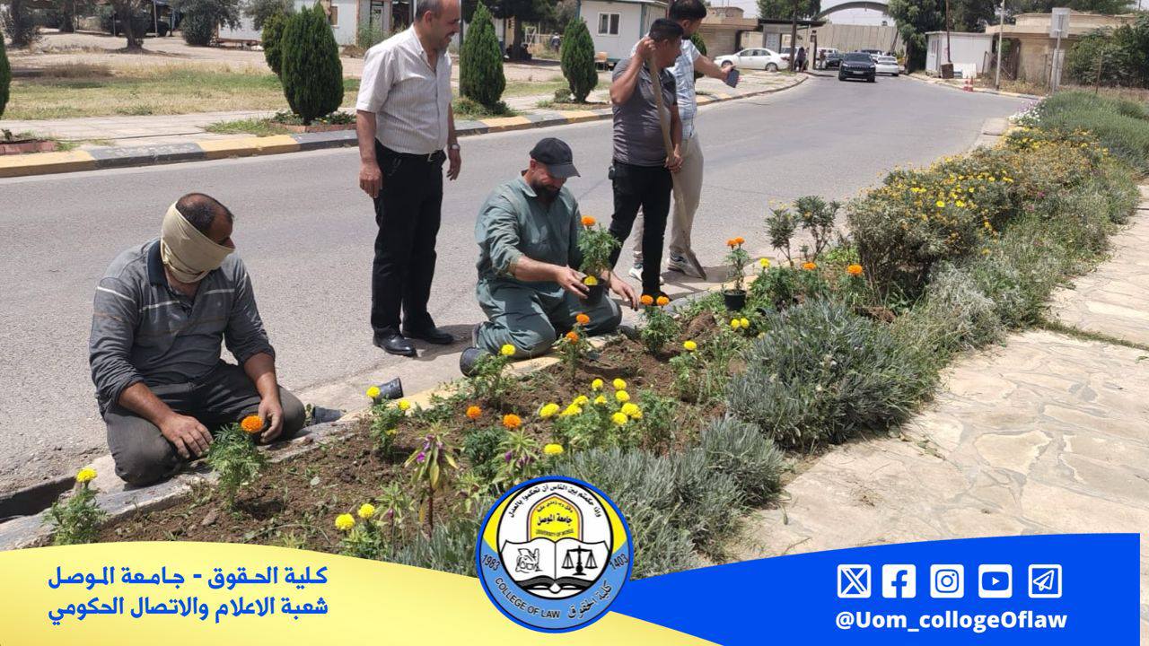 499645699_1191200929465902_8317200641947334168_n