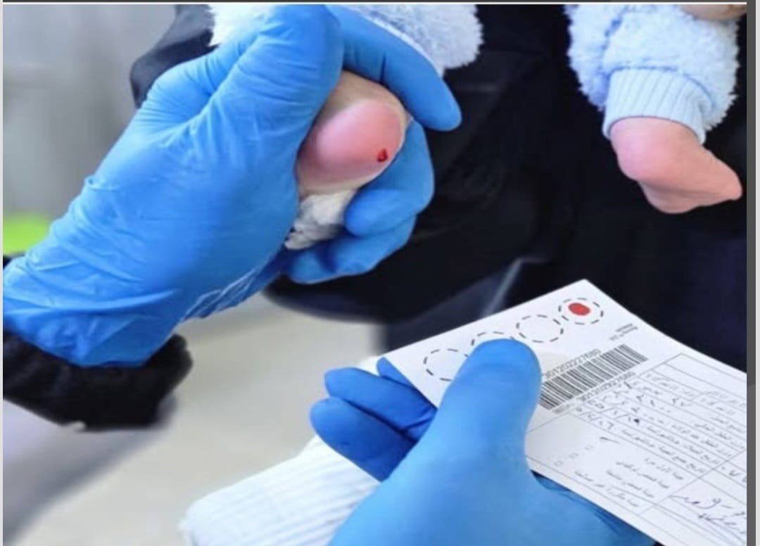 184e2c37-000f-48da-a22d-e80dca871a46