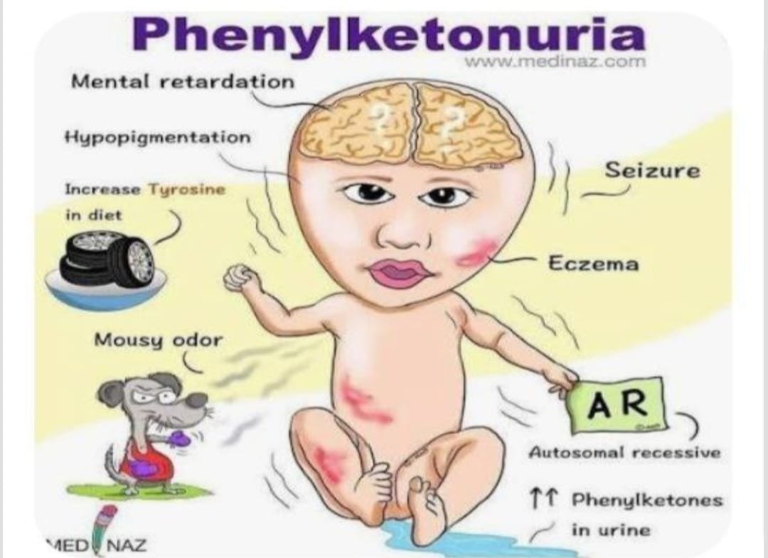 eab05dc1-fc7f-42d1-959a-a5bd7c3e0a3e