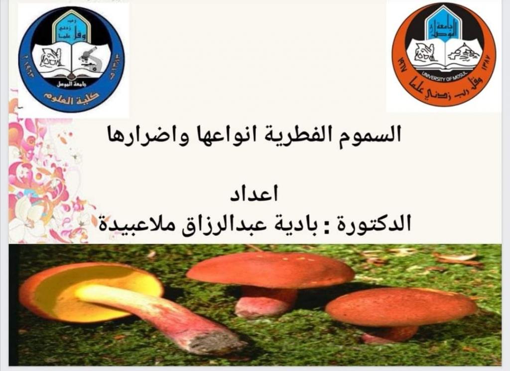 _20211202_044757_280