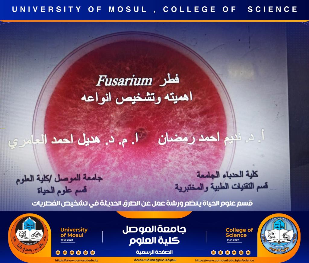 _20221224_072904_550