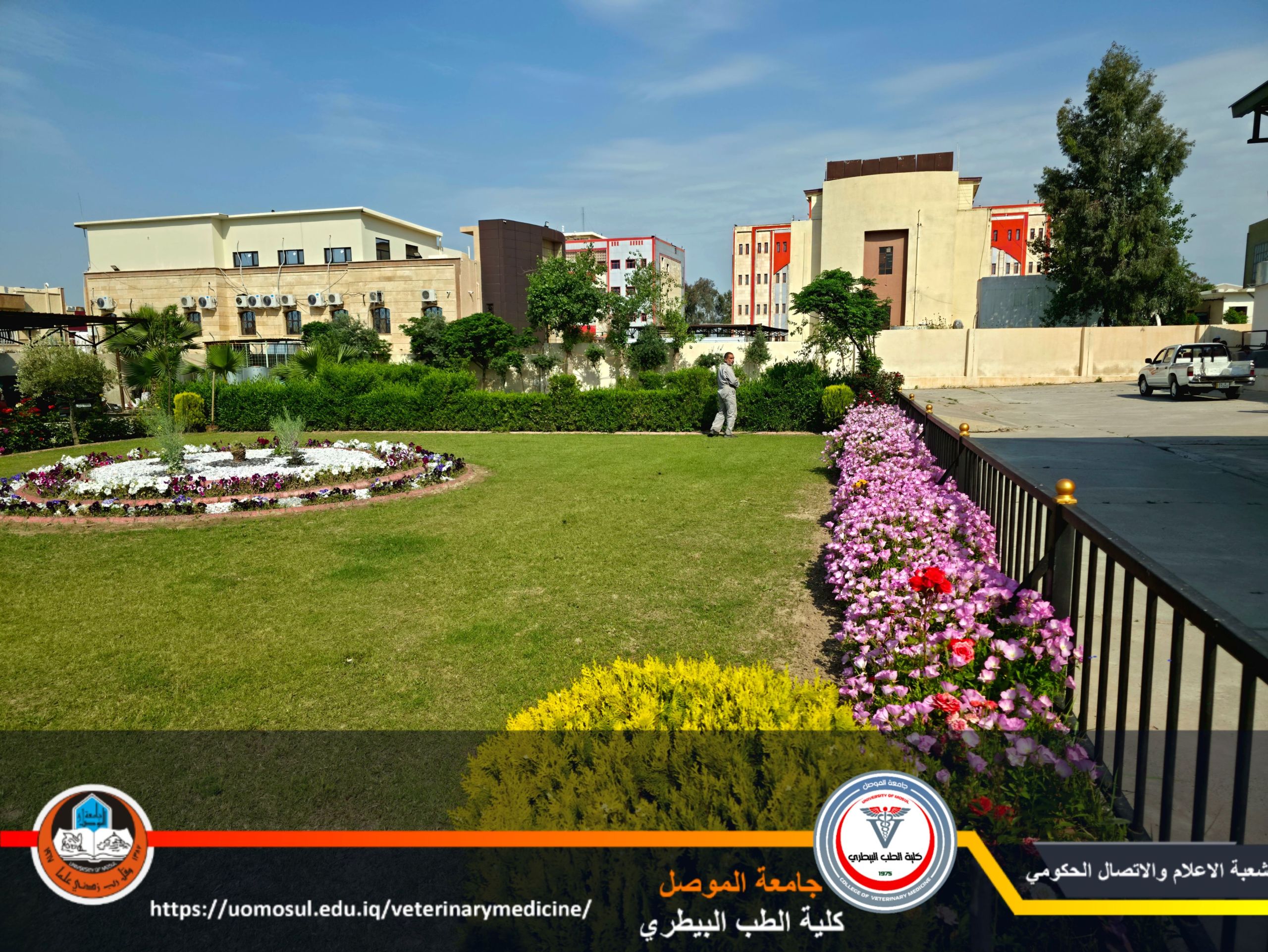 retouch_.jpg (5)