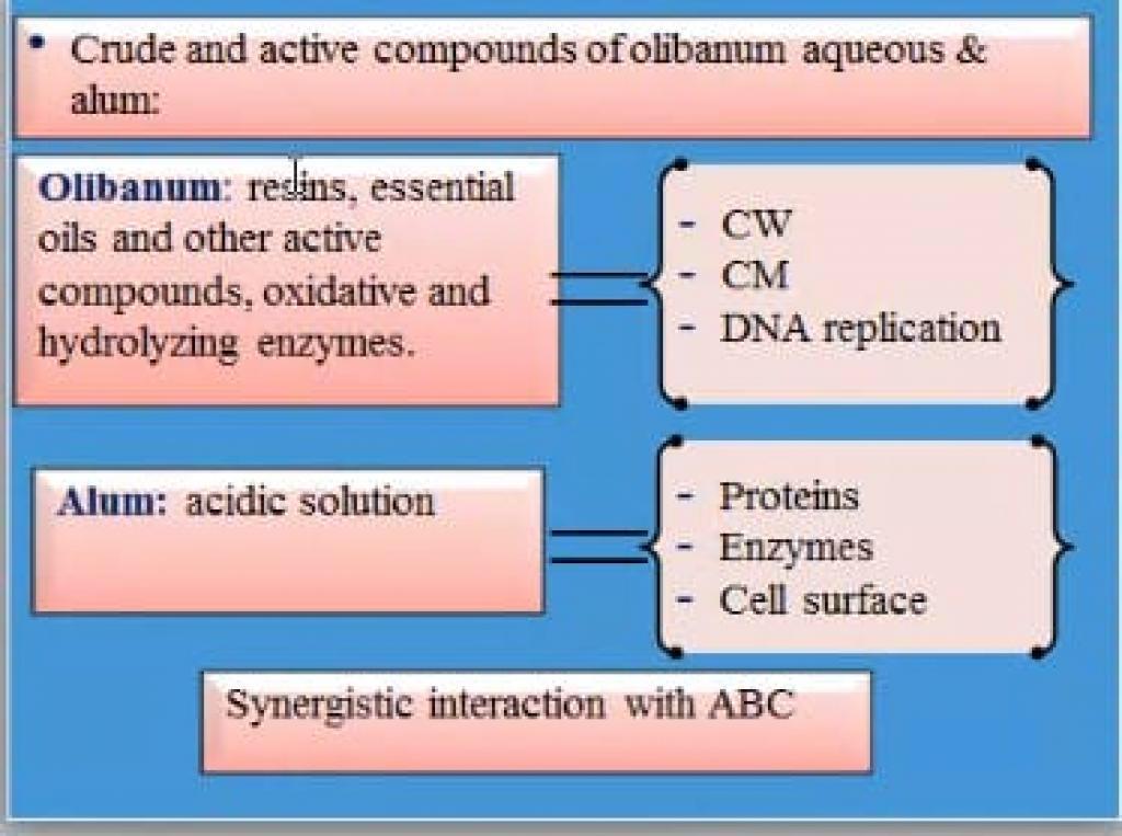 _20210701_055250_490