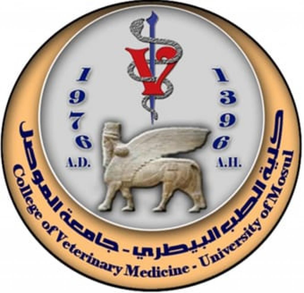 _20191027_012453_270