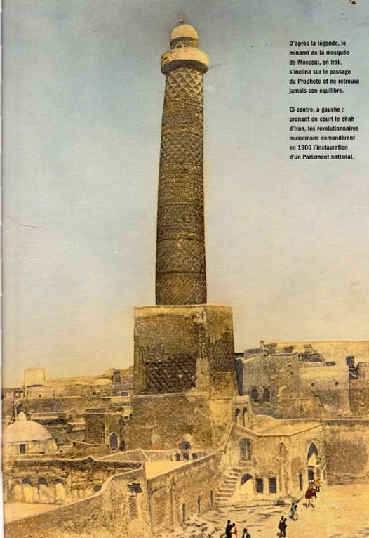 93803053_10158739714757668_3771871838766891008_n